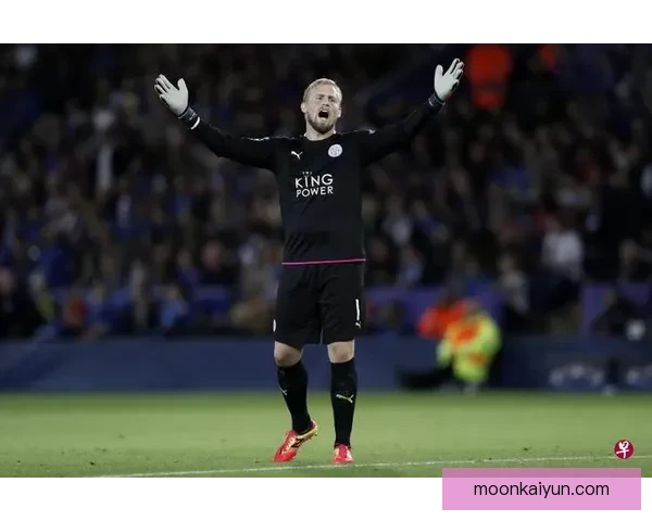 英超拉涅利莱斯特